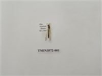 藏品(蟻蛉49)的圖片